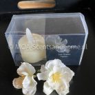 waxine led lichtjes creme