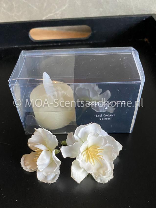 waxine led lichtjes creme waxine led lichtjes creme