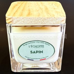 EB Geurkaars "Sapin" dennengeur