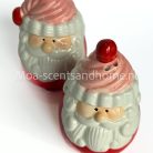 Peper en zoutstel Kerstman