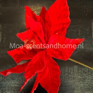 Kunsttak kerstster